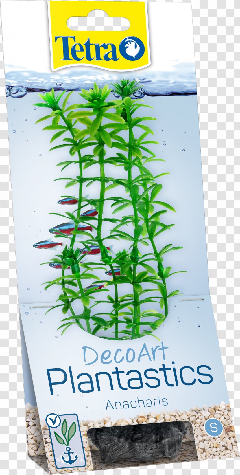 Aquariums Plant Fishkeeping Tetra - Fish Transparent PNG