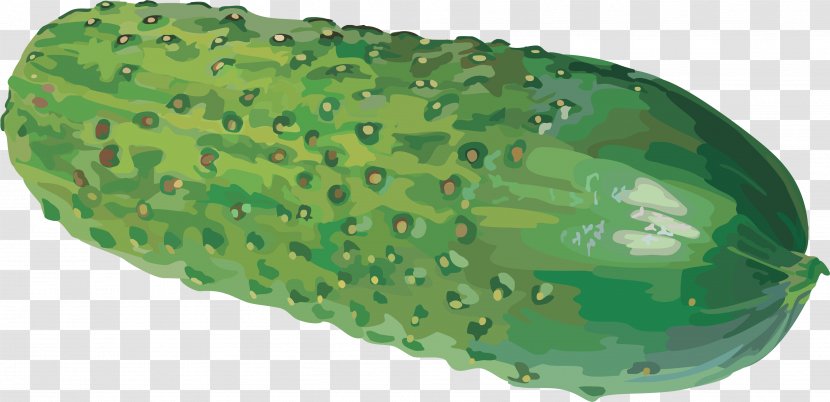 Cucumber Clip Art - Fruit Transparent PNG