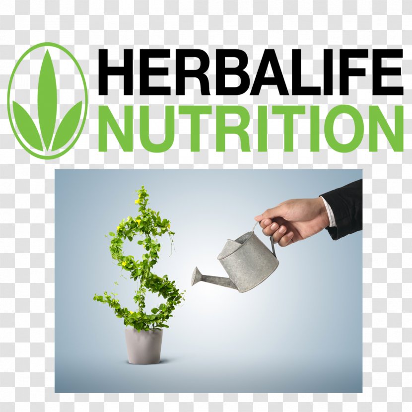 Vie Financière Business Flowerpot - Tree - Herbalife Nutri Club Transparent PNG