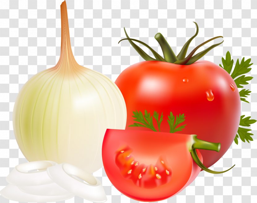 Vegetable Onion Drawing Fruit Transparent PNG