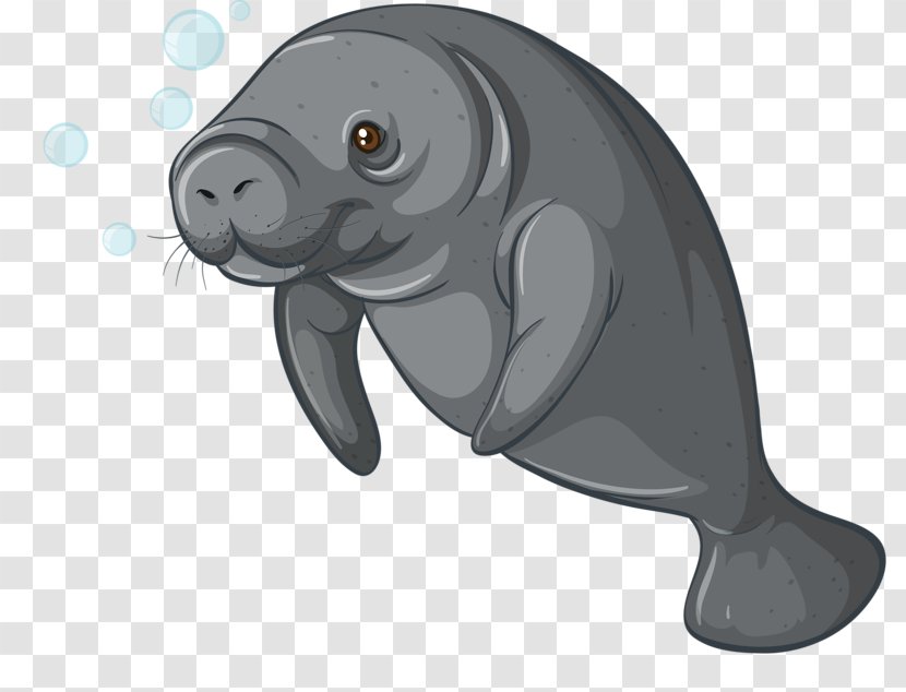 Sea Cows Stock Photography Dugong Clip Art - Organism - Hand-painted Seals Transparent PNG