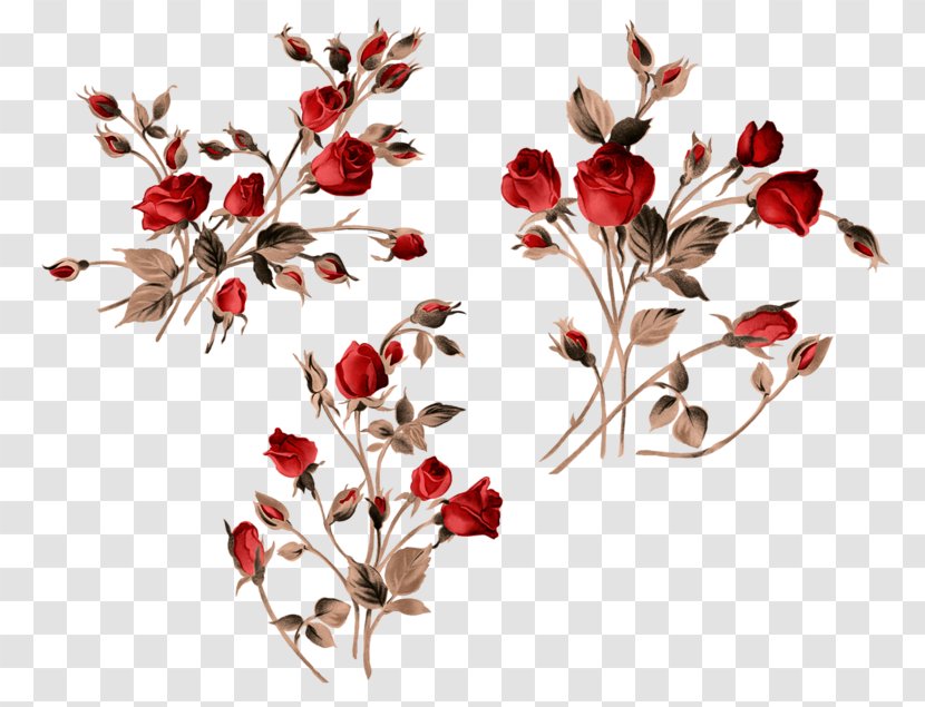 Garden Roses Lossless Compression Clip Art - Tree - Rose Transparent PNG
