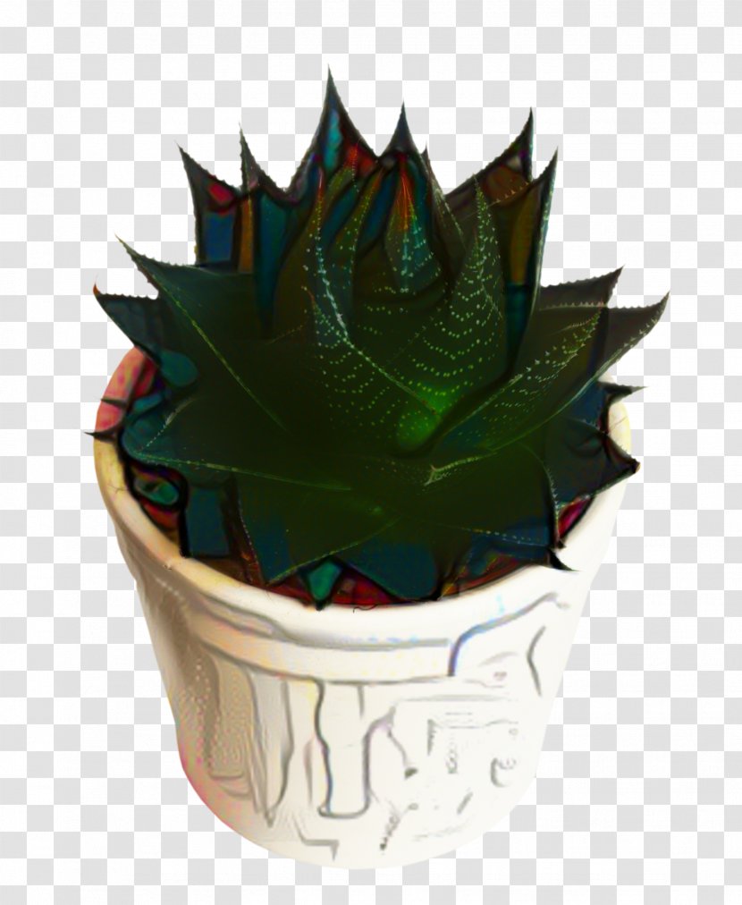 Aloe Vera Leaf - Bonsai - Perennial Plant Baking Cup Transparent PNG