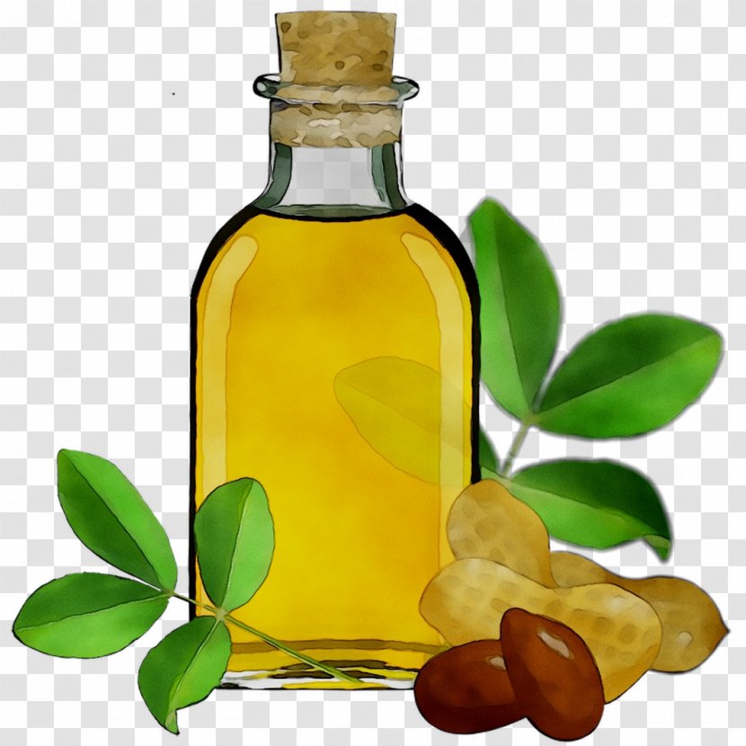 Soybean Oil Liqueur Olive Glass Bottle - Extra Virgin Transparent PNG