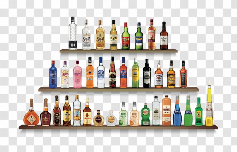 Liqueur Maxxium Spain S.L. Bols Diageo - Alcohol - Metas Transparent PNG