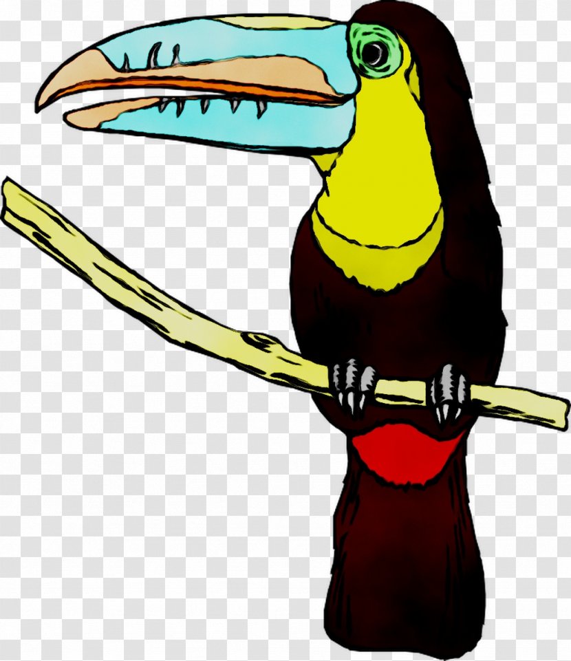 Toucan Clip Art Beak Cartoon Fauna - Bird Transparent PNG