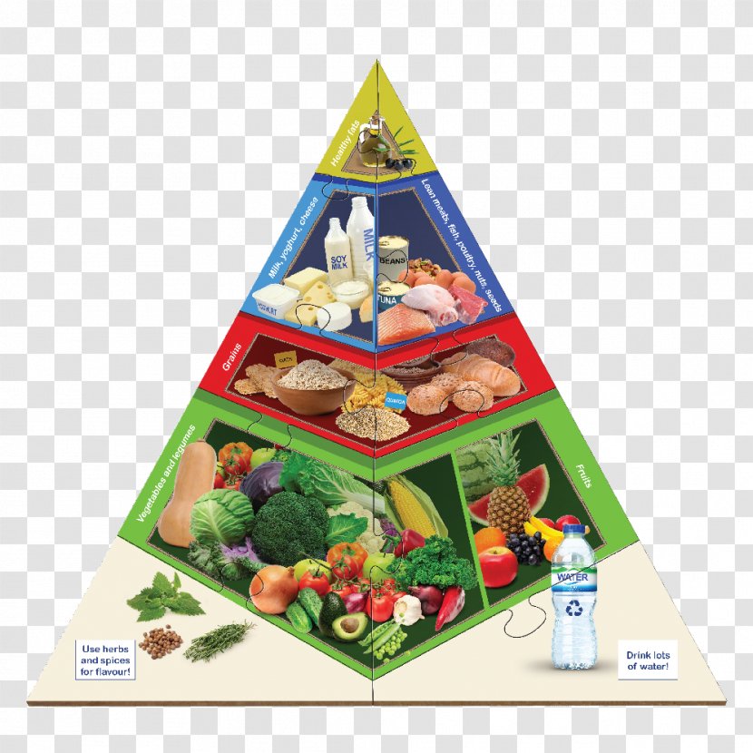 Food Pyramid Paleolithic Diet Health Vegetable Transparent PNG