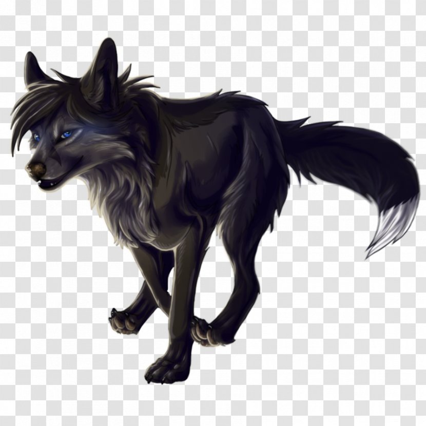 Dog Basior Pack Black Wolf Canidae Transparent PNG