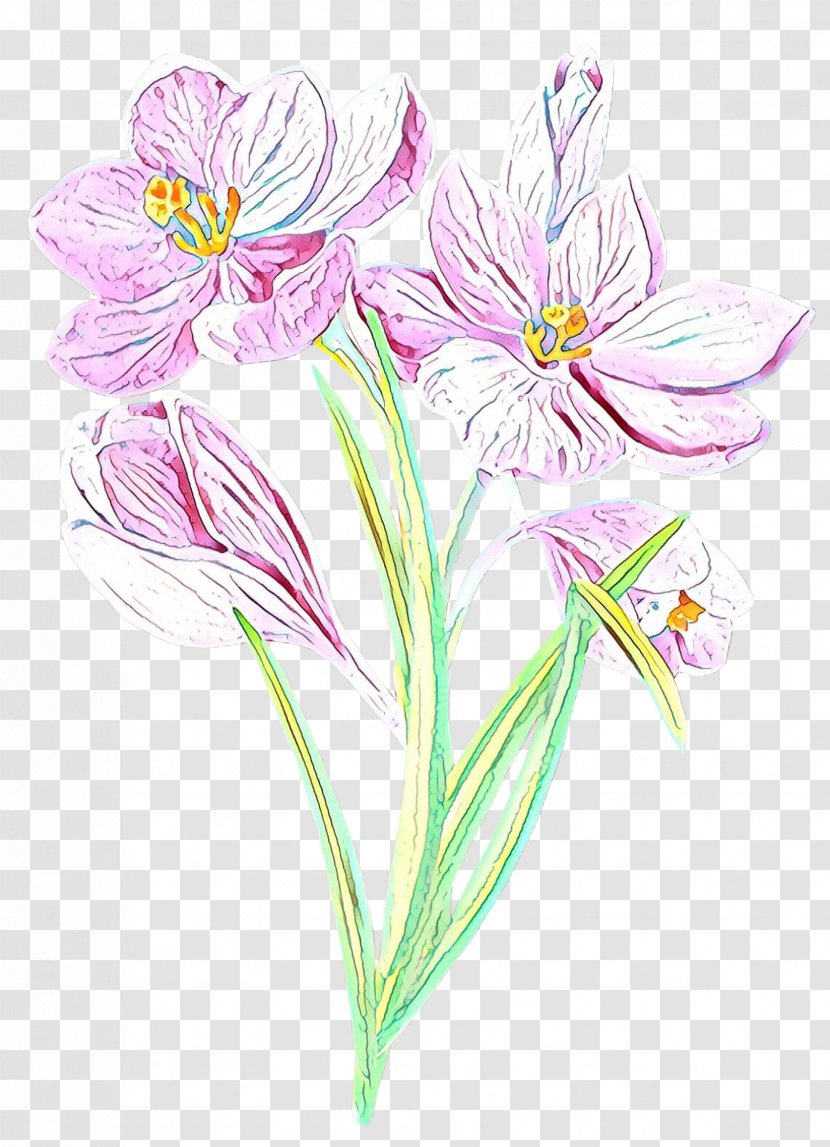 /m/02csf Cut Flowers Drawing Plant Stem Illustration - Wildflower Transparent PNG