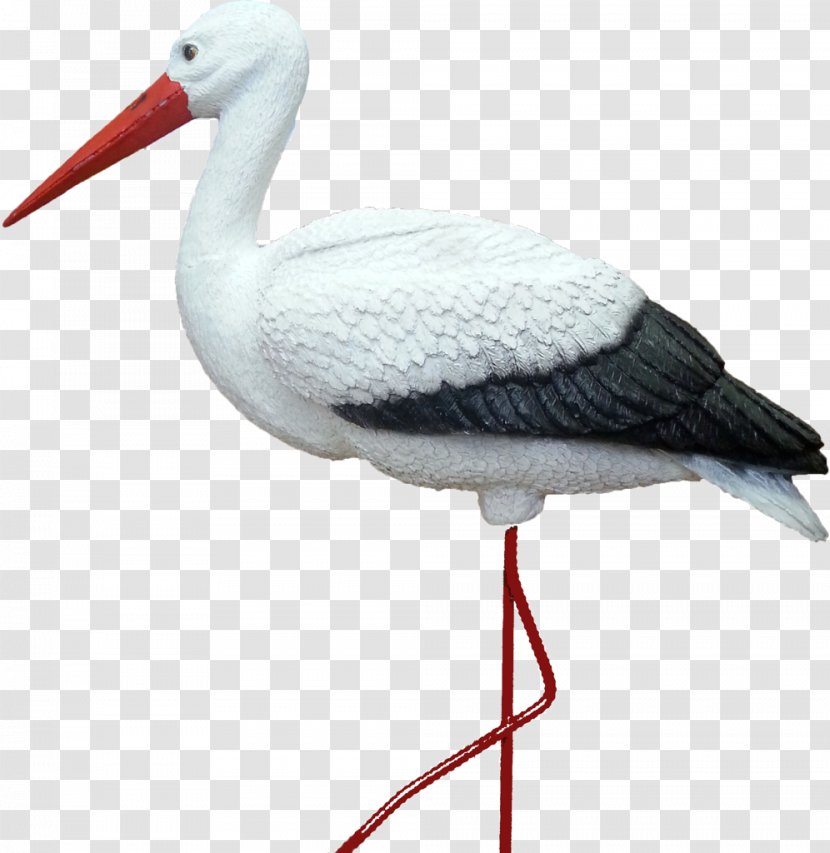 White Stork Sadovyye Figury Artikel АИСТ Price - Vector Crane Transparent PNG