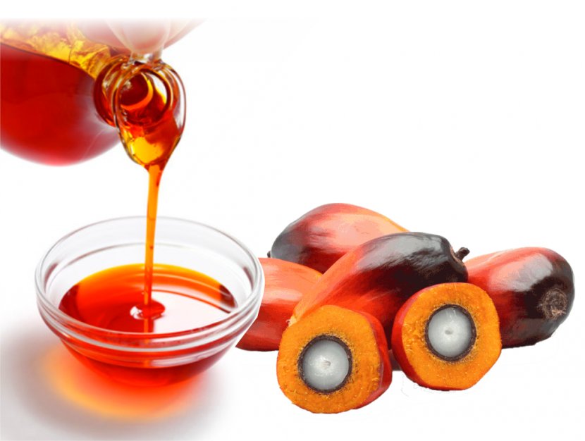 Nigeria Palm Oil African Ghanaian Cuisine Kernel Transparent PNG