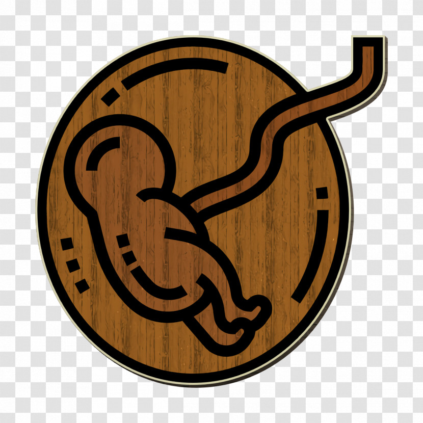 Fetus Icon Health Checkup Icon Transparent PNG