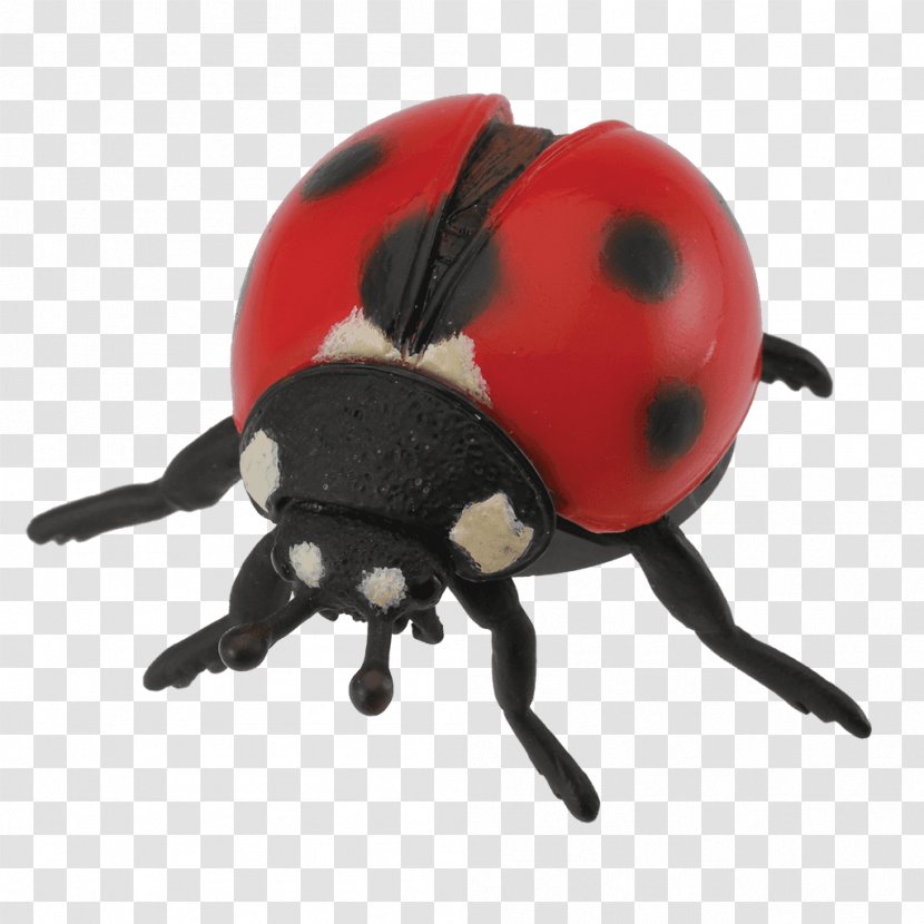 Ladybird Beetle The Toy Seven-spot - Reptile Transparent PNG