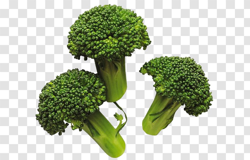 Broccoli Vegetable Cabbage - Grass - Image Transparent PNG