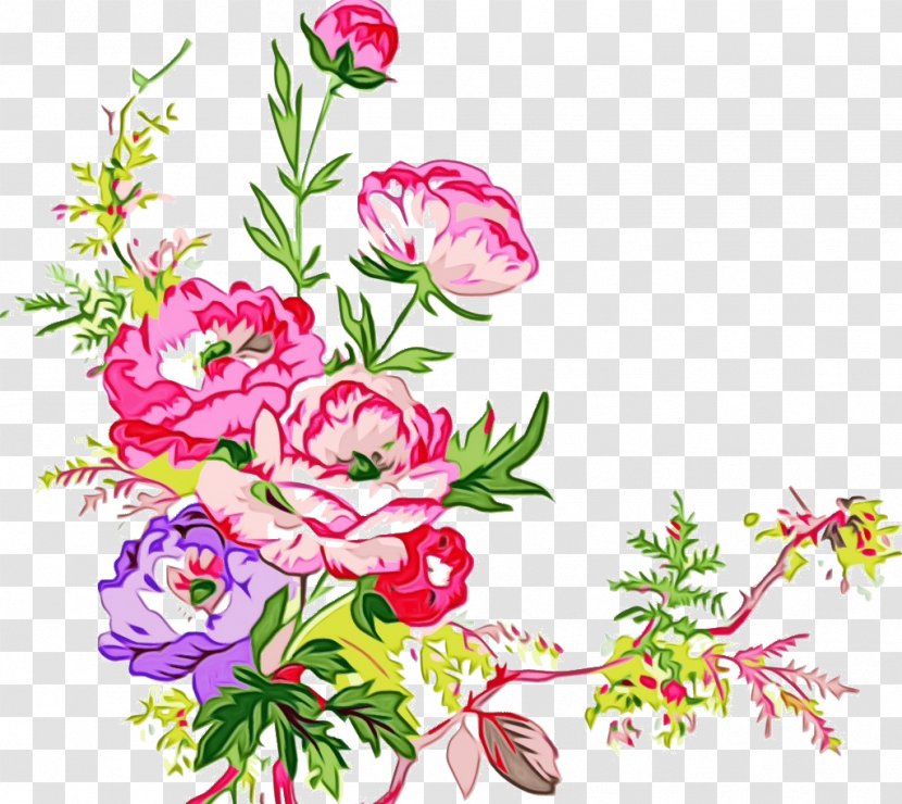 Watercolor Pink Flowers - Petal - Family Rose Transparent PNG