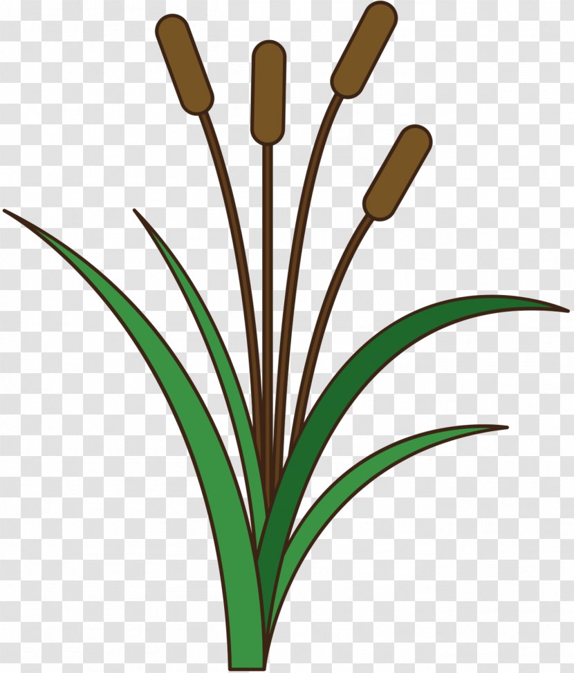 Clip Art Grasses Plant Stem Leaf Line - Plants - Grass Transparent PNG
