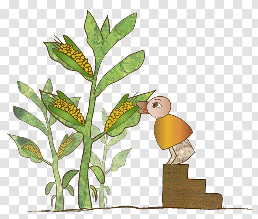 Beak Flora Fauna Clip Art - Eating Corn Transparent PNG