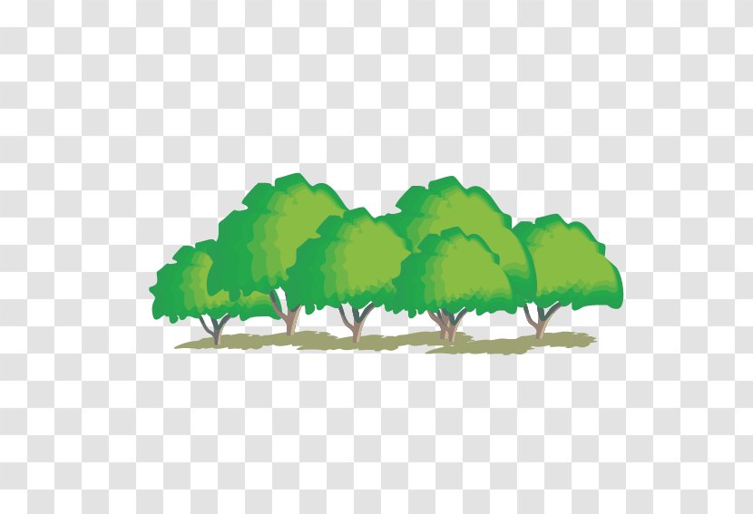 Cartoon Trees - Information - Grass Transparent PNG