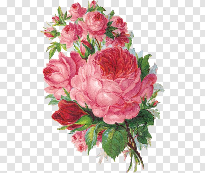 Flower Watercolor Painting Rose Floristry - Carnation Transparent PNG