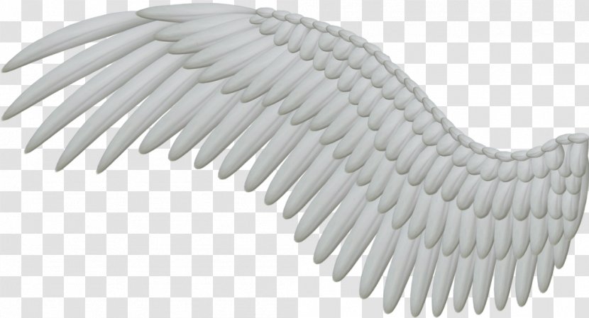 Clip Art Openclipart Vector Graphics Free Content - Wing - Angel Wings Thy Darkest Transparent PNG
