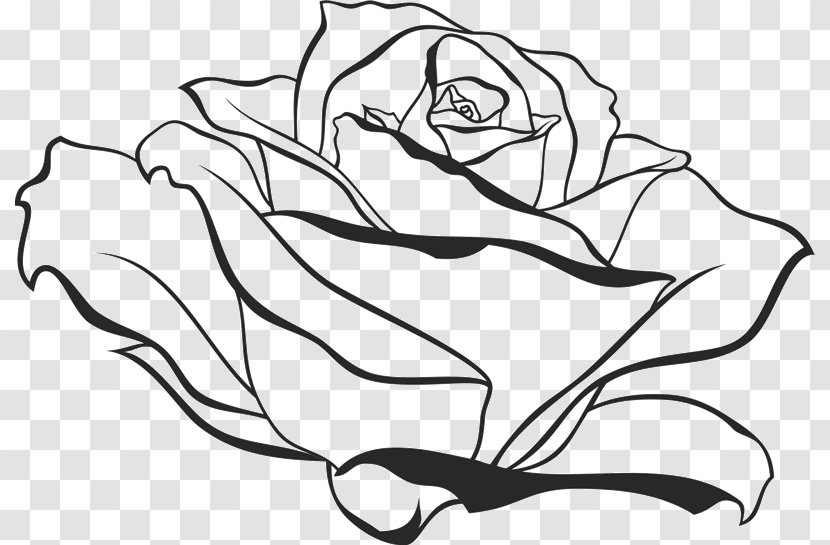 Drawing Vector Graphics Clip Art Illustration Image - Monochrome Photography - Rose Transparent PNG
