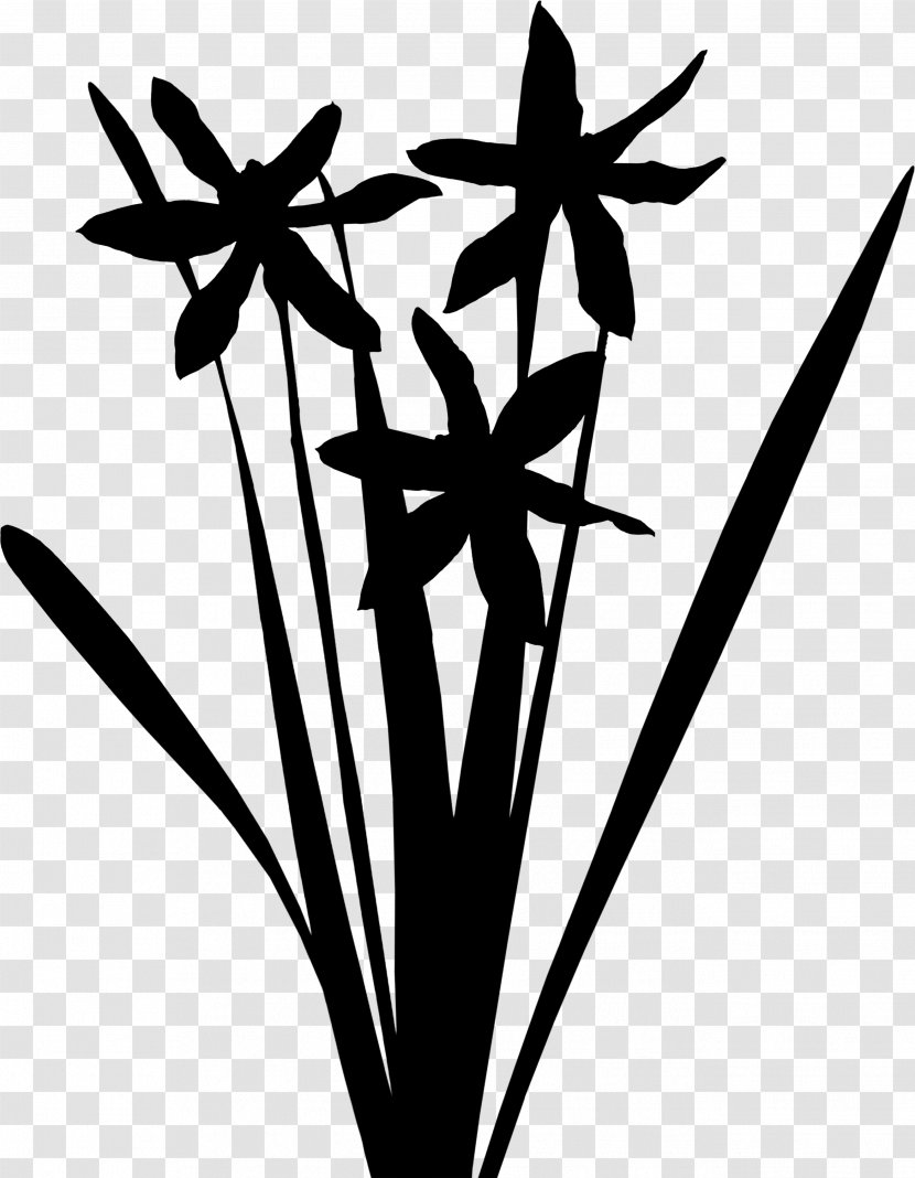 Grasses Clip Art Plant Stem Leaf Flower - Blackandwhite Transparent PNG