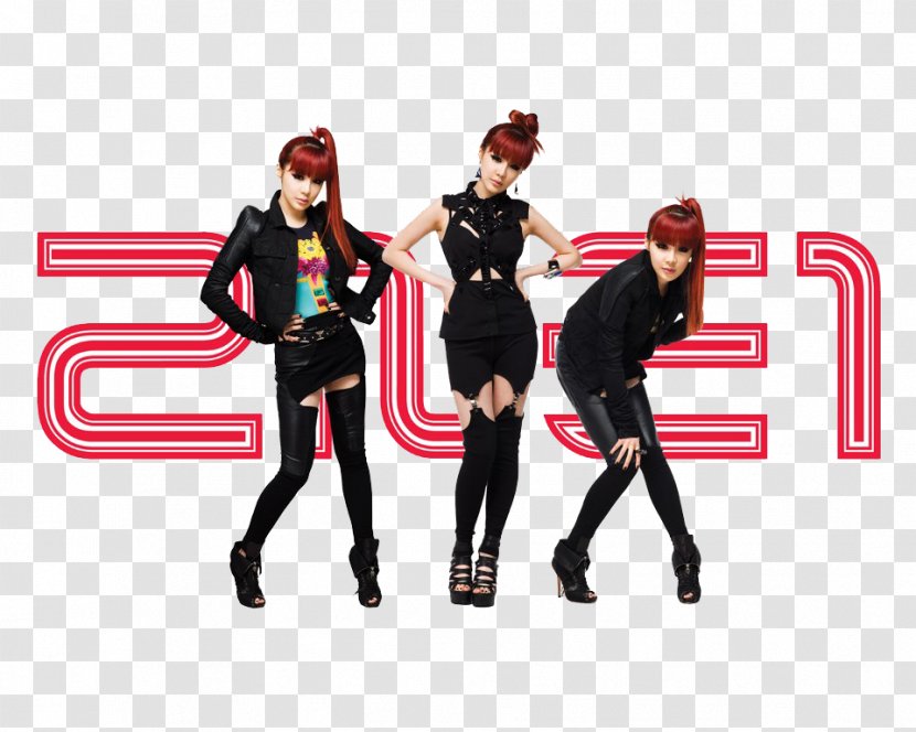 2NE1 To Anyone Desktop Wallpaper Collection - Costume - Park Bom Transparent PNG
