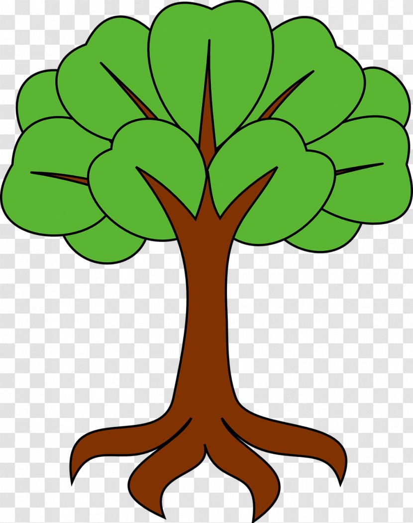 Branch Stock.xchng Image Tree Vector Graphics Transparent PNG