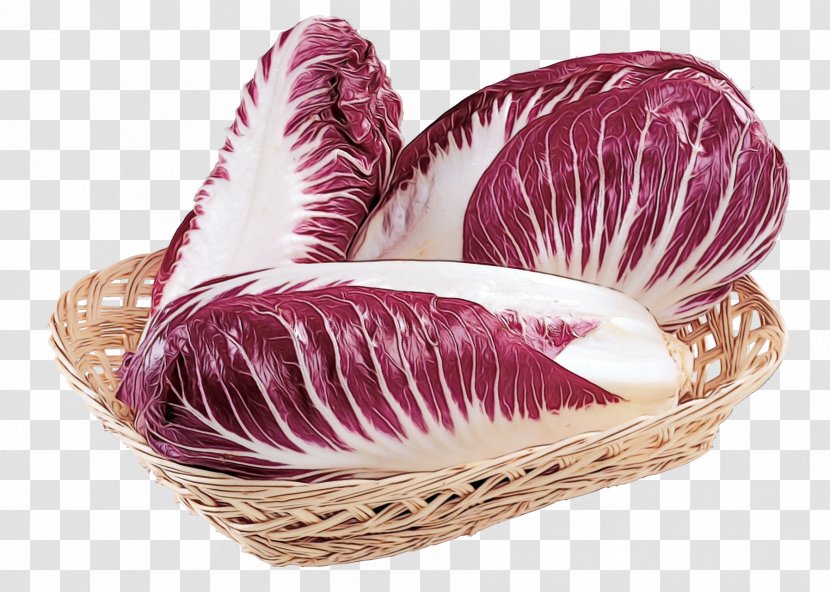 Radicchio Vegetable Leaf Food Cabbage - Plant Transparent PNG