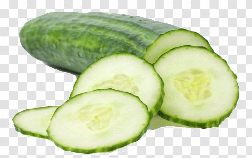 Cucumber Vegetable Lebanese Cuisine Food - Gourd Order Transparent PNG