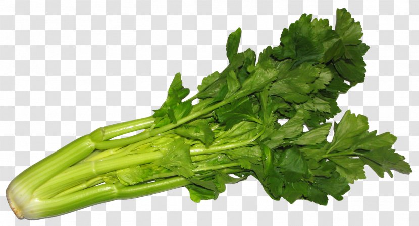 Juice Celeriac Raw Foodism Vegetable Eating - Spring Greens - Celery Transparent PNG