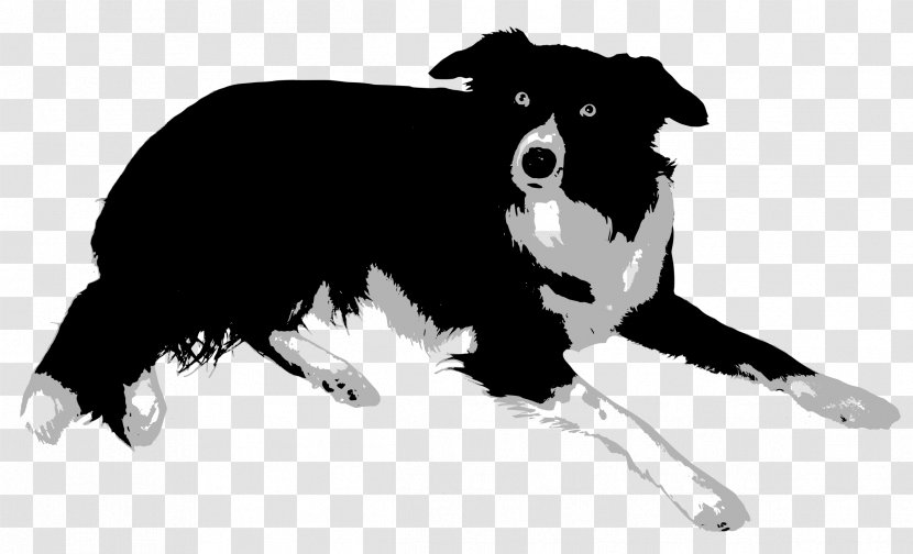 Border Collie Rough Bearded Old English Sheepdog Central Asian Shepherd Dog - Monochrome - Puppy Transparent PNG