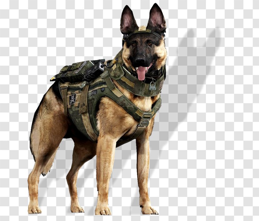 Call Of Duty: Ghosts German Shepherd Great Dane Malinois Dog Labrador Retriever - Police Transparent PNG