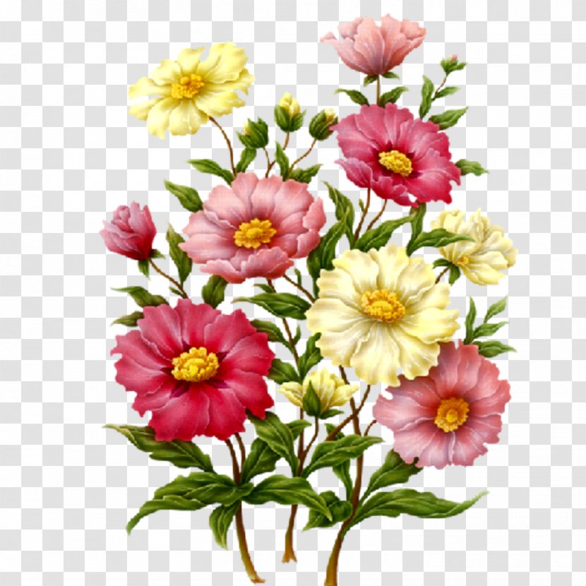 Flower Floral Design Photography - Daisy - Painting Transparent PNG
