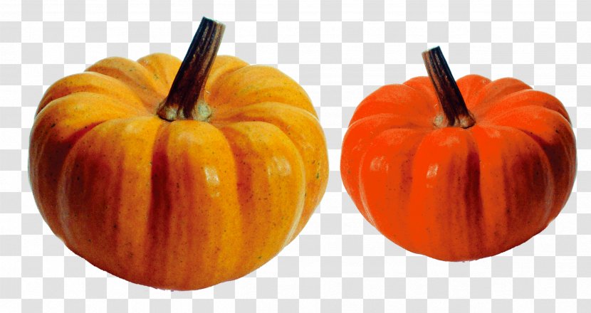 Crookneck Pumpkin Vegetable Turban Squash Auglis - Field Transparent PNG