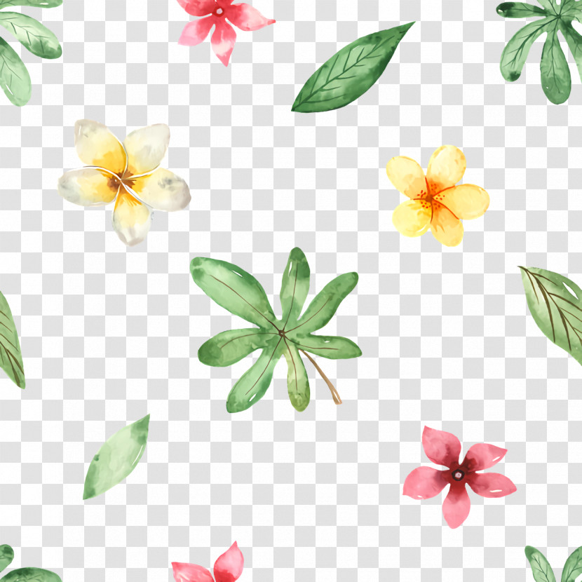 Flower Leaf Petal Flora Plants Transparent PNG