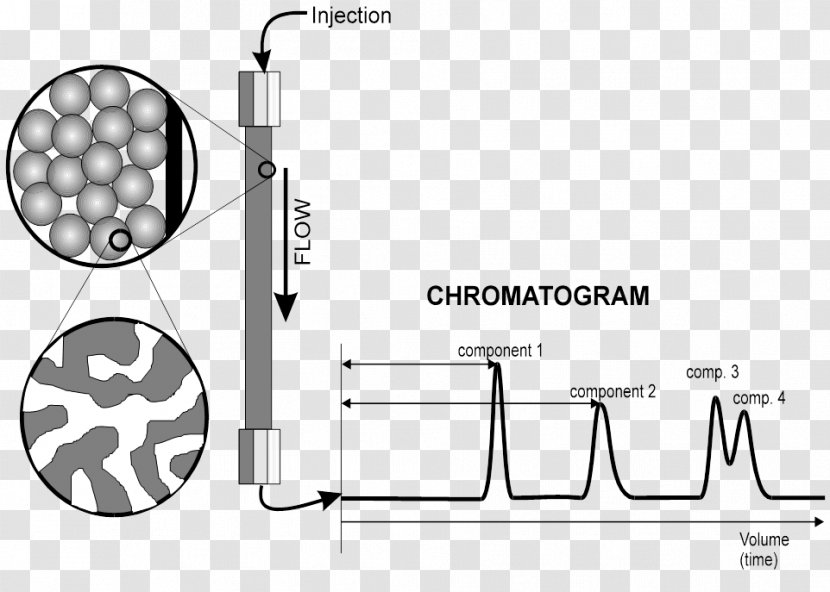 High-performance Liquid Chromatography Column Paper Thin-layer - Adsorption - Chromatogram Transparent PNG