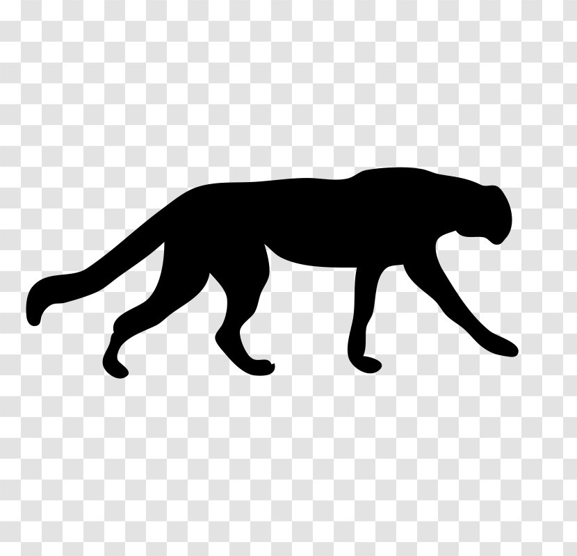 Cougar Panther Cat Leopard Lion - Black Transparent PNG