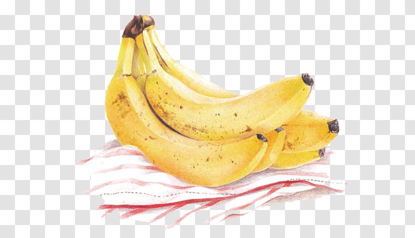 Cooking Banana Peel - Fruit - Ripe Transparent PNG