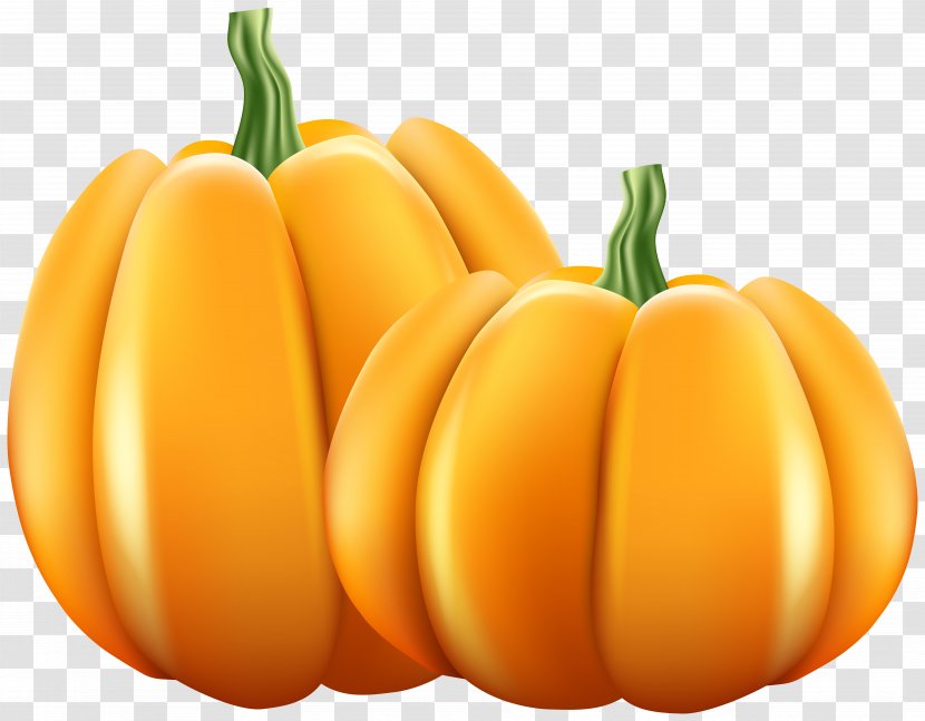 Pumpkin Gourd Clip Art Image - Gerber Pennant Transparent PNG