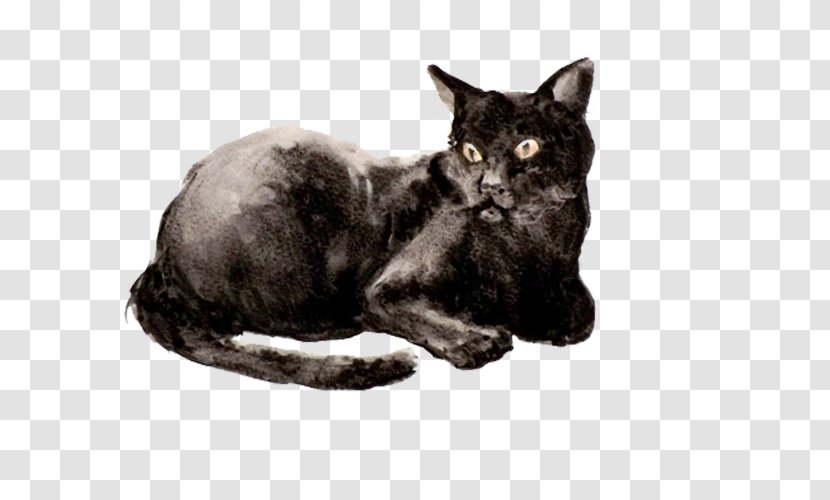 Korat Bombay Cat European Shorthair Havana Brown Burmese - Paw - Black Transparent PNG