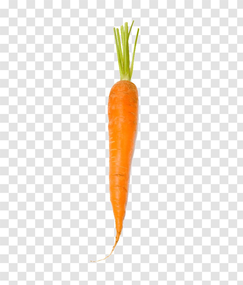 Baby Carrot Orange Transparent PNG