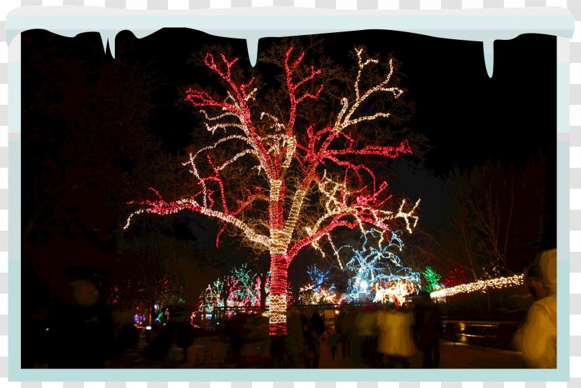 Christmas Lights Lighting Tree - Home Business - Light Transparent PNG