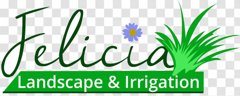 Grasses Logo Plant Stem Leaf Font - Family Transparent PNG