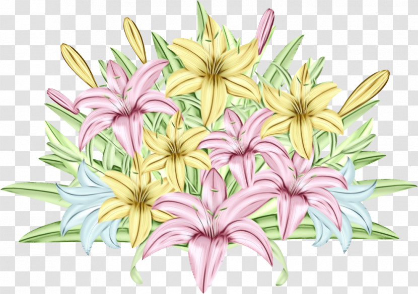 Flower Pink Plant Lily Petal Transparent PNG