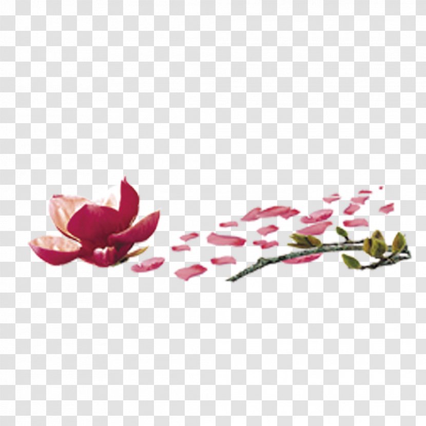 Petal Leaf Flower Deciduous - Teaware - Peach Petals Transparent PNG