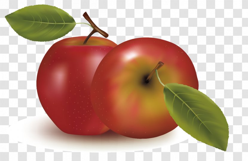 Smoothie Juice Fruit Orange - Diet Food - Apple Vector Transparent PNG