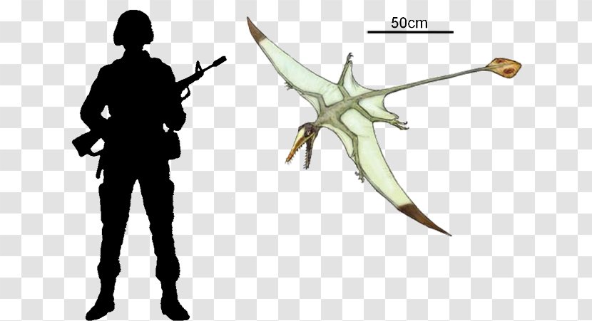 Soldier Military Silhouette Clip Art - Weapon Transparent PNG