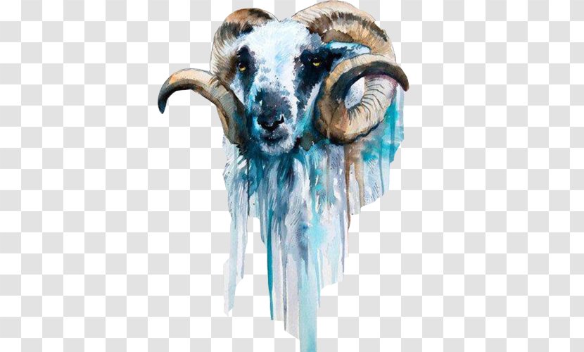 Sheep Goat Watercolor Painting Art - Contemporary - Old Picture Material Transparent PNG