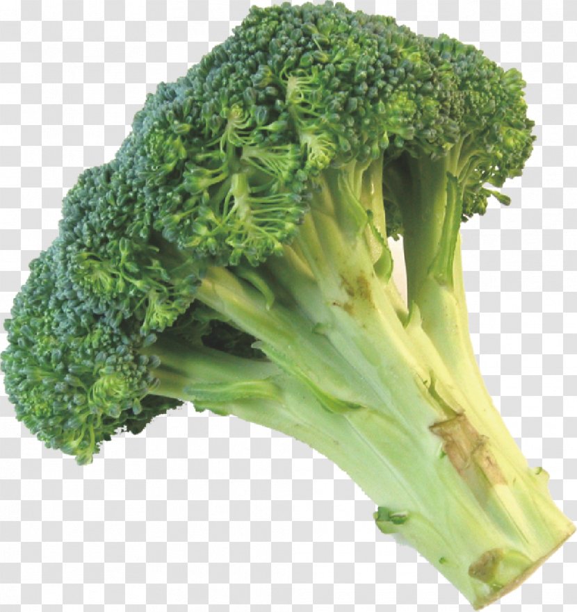 Broccoli Cauliflower Leftovers Vegetable - Rapini Transparent PNG